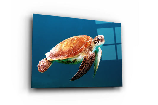 Sea Turtle