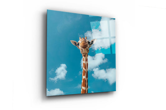 Giraffe Wonder