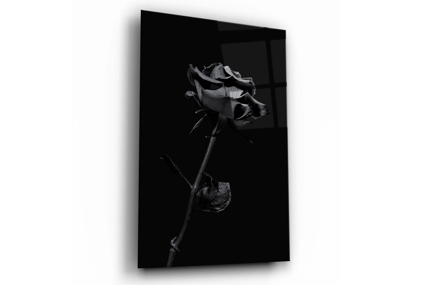 Black Rose