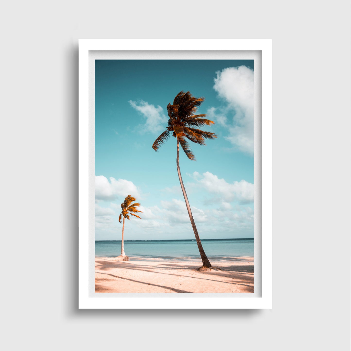 Palm Trees Beach