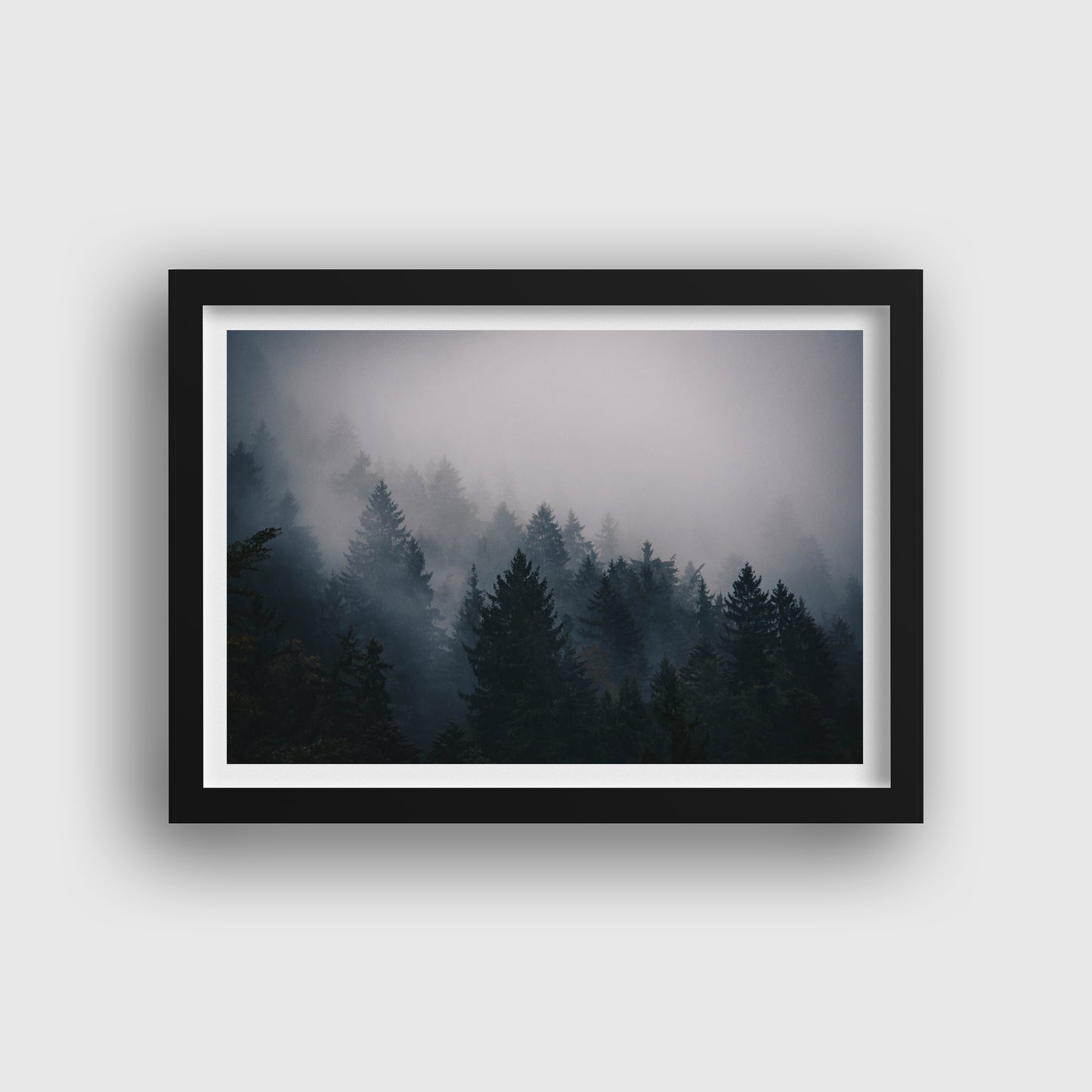 Misty Forrest